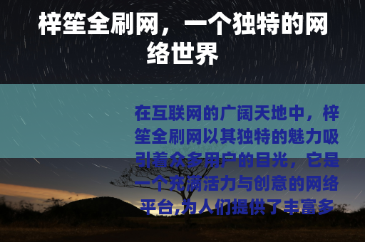 梓笙全刷网，一个独特的网络世界