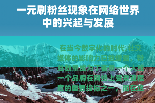 一元刷粉丝现象在网络世界中的兴起与发展