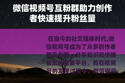 微信视频号互粉群助力创作者快速提升粉丝量