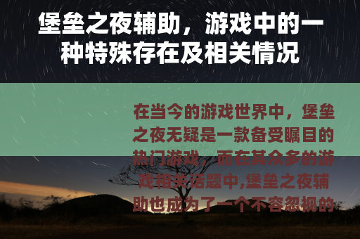 堡垒之夜辅助，游戏中的一种特殊存在及相关情况