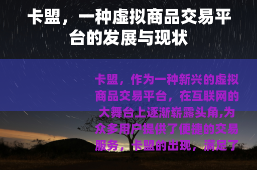 卡盟，一种虚拟商品交易平台的发展与现状