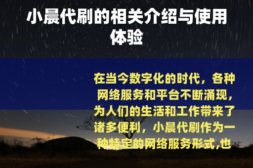 小晨代刷的相关介绍与使用体验