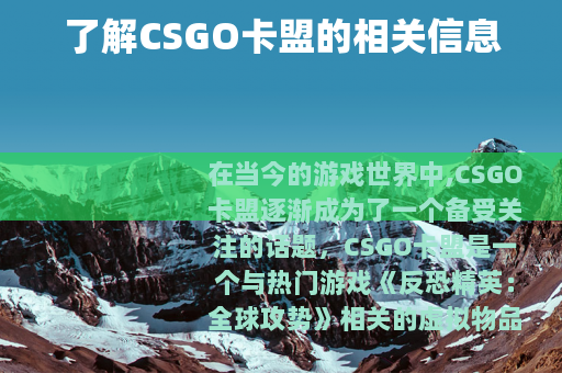 了解CSGO卡盟的相关信息