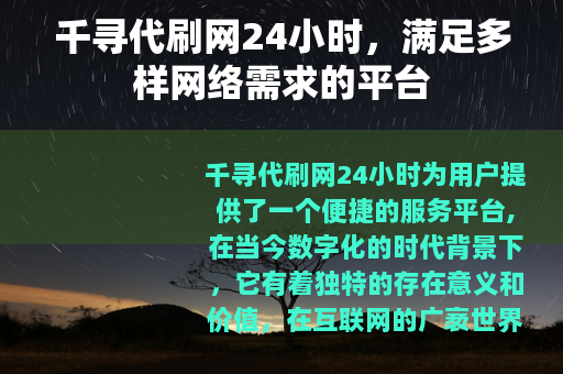 千寻代刷网24小时，满足多样网络需求的平台