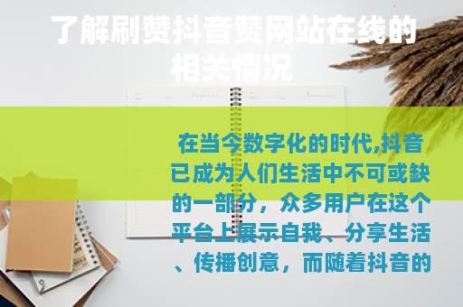 了解刷赞抖音赞网站在线的相关情况