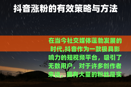 抖音涨粉的有效策略与方法