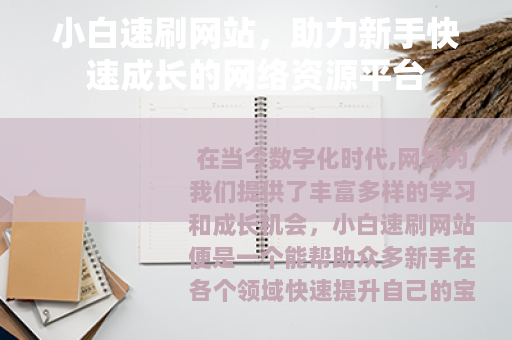 小白速刷网站，助力新手快速成长的网络资源平台