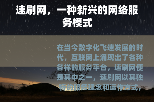 速刷网，一种新兴的网络服务模式
