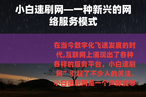小白速刷网—一种新兴的网络服务模式