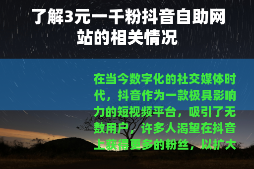 了解3元一千粉抖音自助网站的相关情况