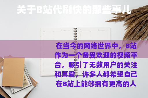 关于B站代刷快的那些事儿