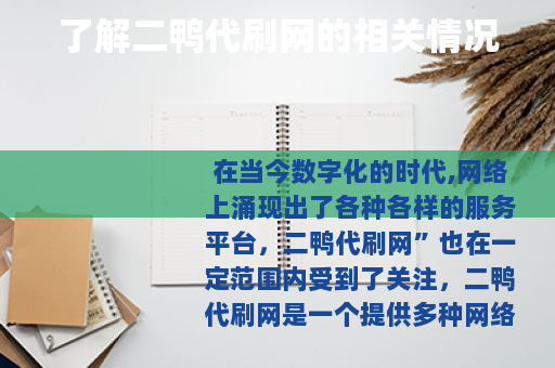 了解二鸭代刷网的相关情况