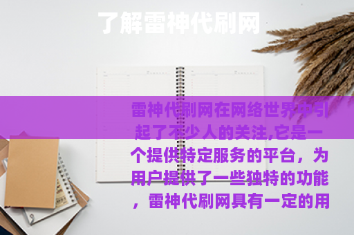 了解雷神代刷网