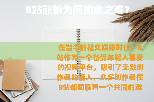 B站涨粉为何如此之难？