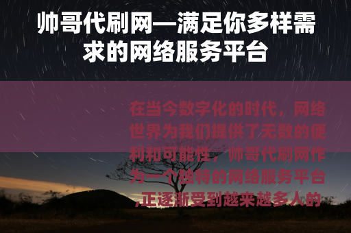 帅哥代刷网—满足你多样需求的网络服务平台