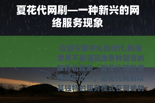 夏花代网刷—一种新兴的网络服务现象