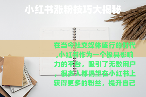 小红书涨粉技巧大揭秘