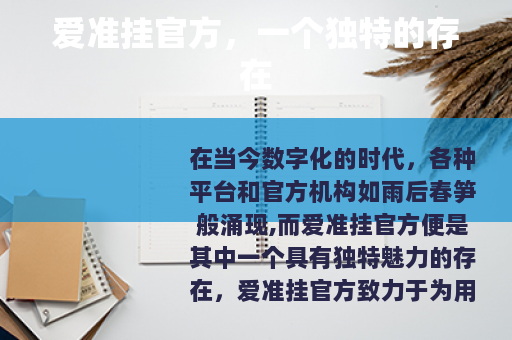 爱准挂官方，一个独特的存在