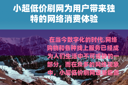 小超低价刷网为用户带来独特的网络消费体验