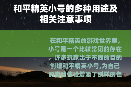 和平精英小号的多种用途及相关注意事项