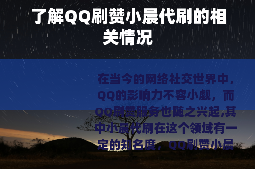了解QQ刷赞小晨代刷的相关情况