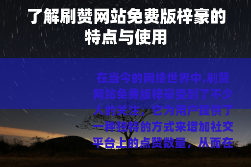 了解刷赞网站免费版梓豪的特点与使用