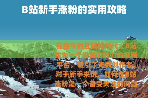 B站新手涨粉的实用攻略