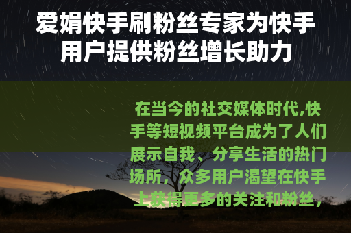 爱娟快手刷粉丝专家为快手用户提供粉丝增长助力