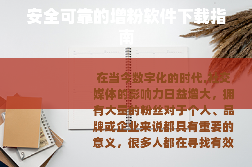 安全可靠的增粉软件下载指南