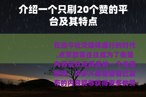 介绍一个只刷20个赞的平台及其特点