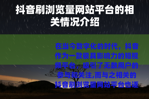 抖音刷浏览量网站平台的相关情况介绍