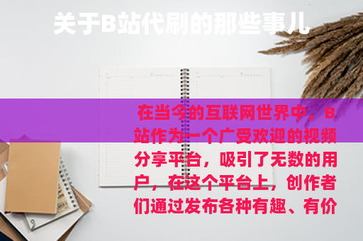 关于B站代刷的那些事儿