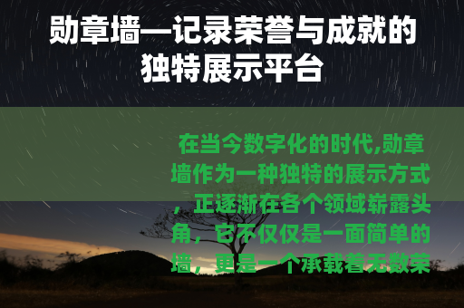勋章墙—记录荣誉与成就的独特展示平台