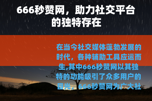 666秒赞网，助力社交平台的独特存在