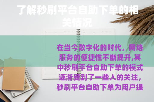 了解秒刷平台自助下单的相关情况