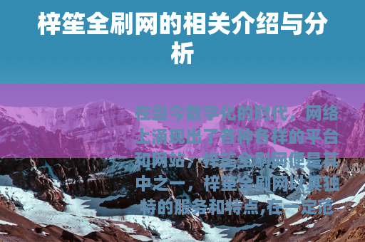 梓笙全刷网的相关介绍与分析