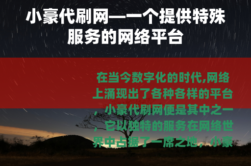 小豪代刷网—一个提供特殊服务的网络平台