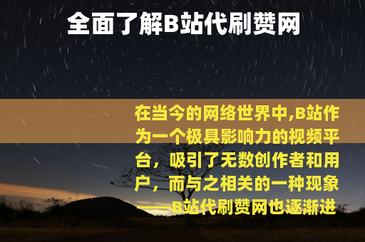 全面了解B站代刷赞网