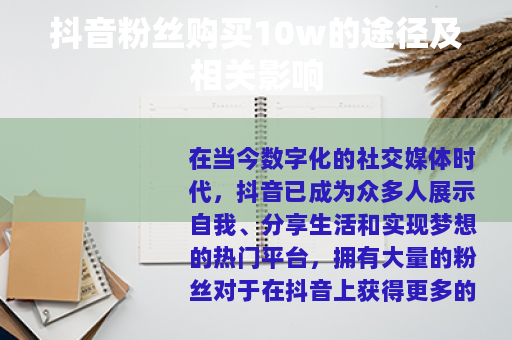 抖音粉丝购买10w的途径及相关影响