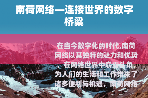 南荷网络—连接世界的数字桥梁