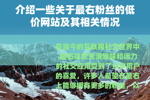 介绍一些关于最右粉丝的低价网站及其相关情况