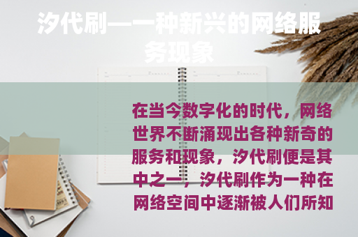 汐代刷—一种新兴的网络服务现象