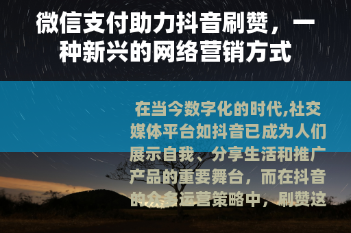 微信支付助力抖音刷赞，一种新兴的网络营销方式