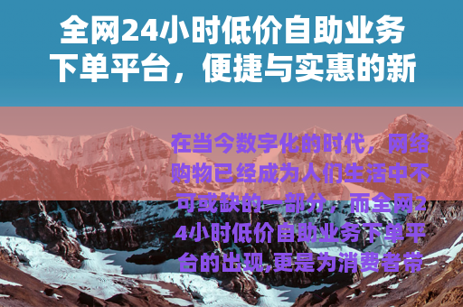 全网24小时低价自助业务下单平台，便捷与实惠的新选择