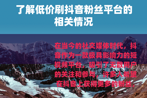 了解低价刷抖音粉丝平台的相关情况