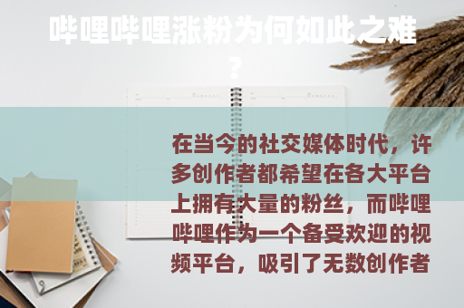 哔哩哔哩涨粉为何如此之难？