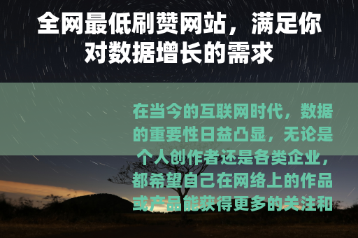 全网最低刷赞网站，满足你对数据增长的需求