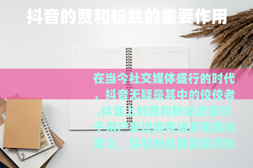 抖音的赞和粉丝的重要作用