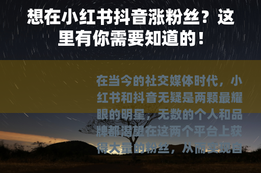 想在小红书抖音涨粉丝？这里有你需要知道的！