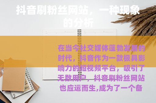 抖音刷粉丝网站，一种现象的分析